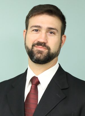 A professional headshot of a man with a beard, wearing a dark suit and red tie, against a light green background.